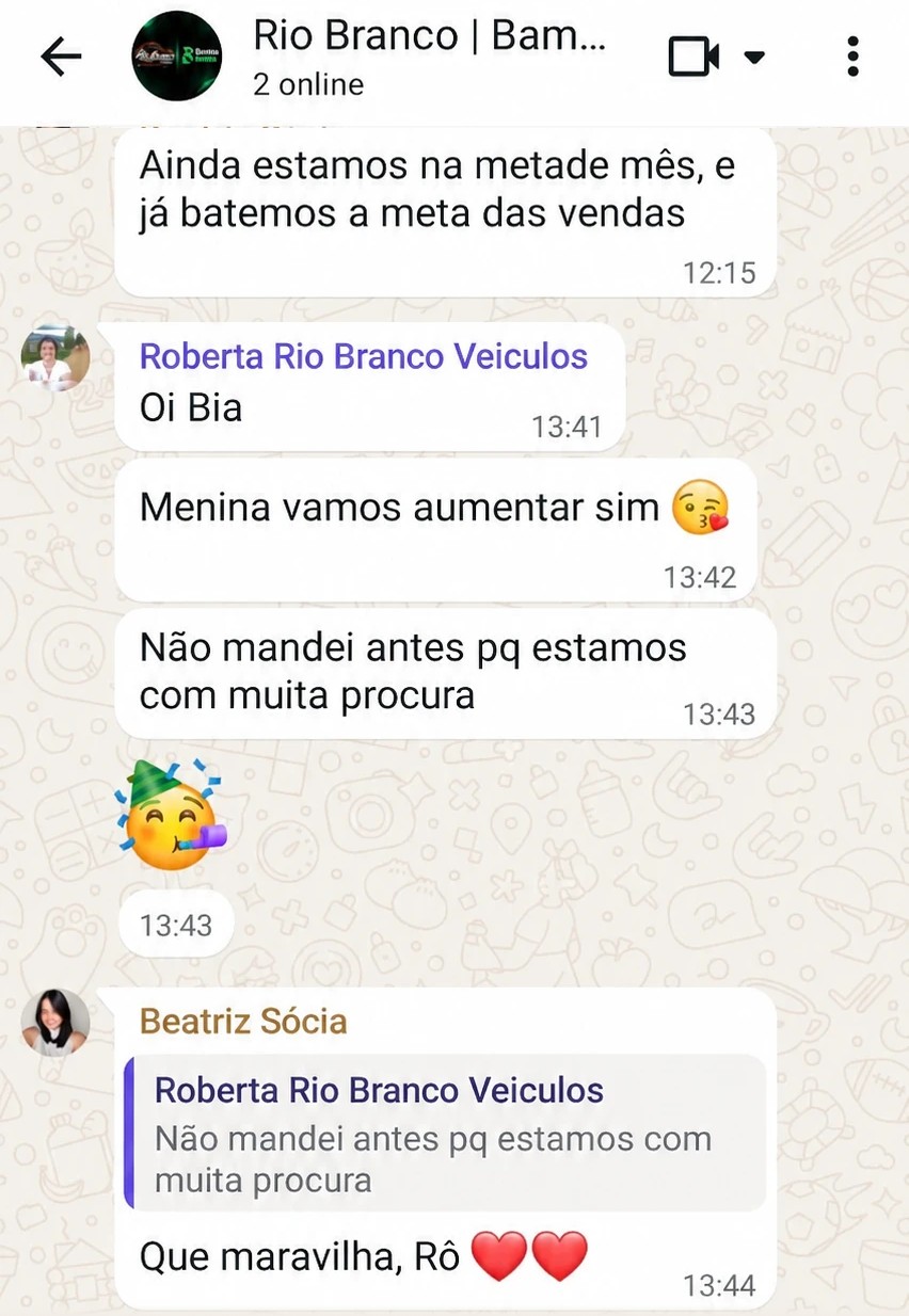 Conversa de WhatsApp: cliente bateu a meta de vendas no meio do mês e vai aumentar o orçamento dos anúncios